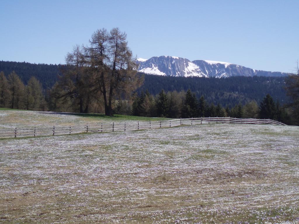Rastlhof Meltina Exterior foto